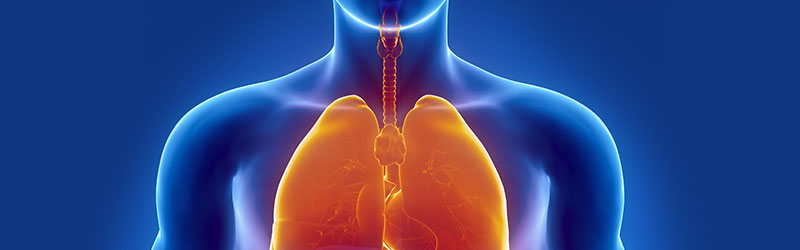 Pneumologia